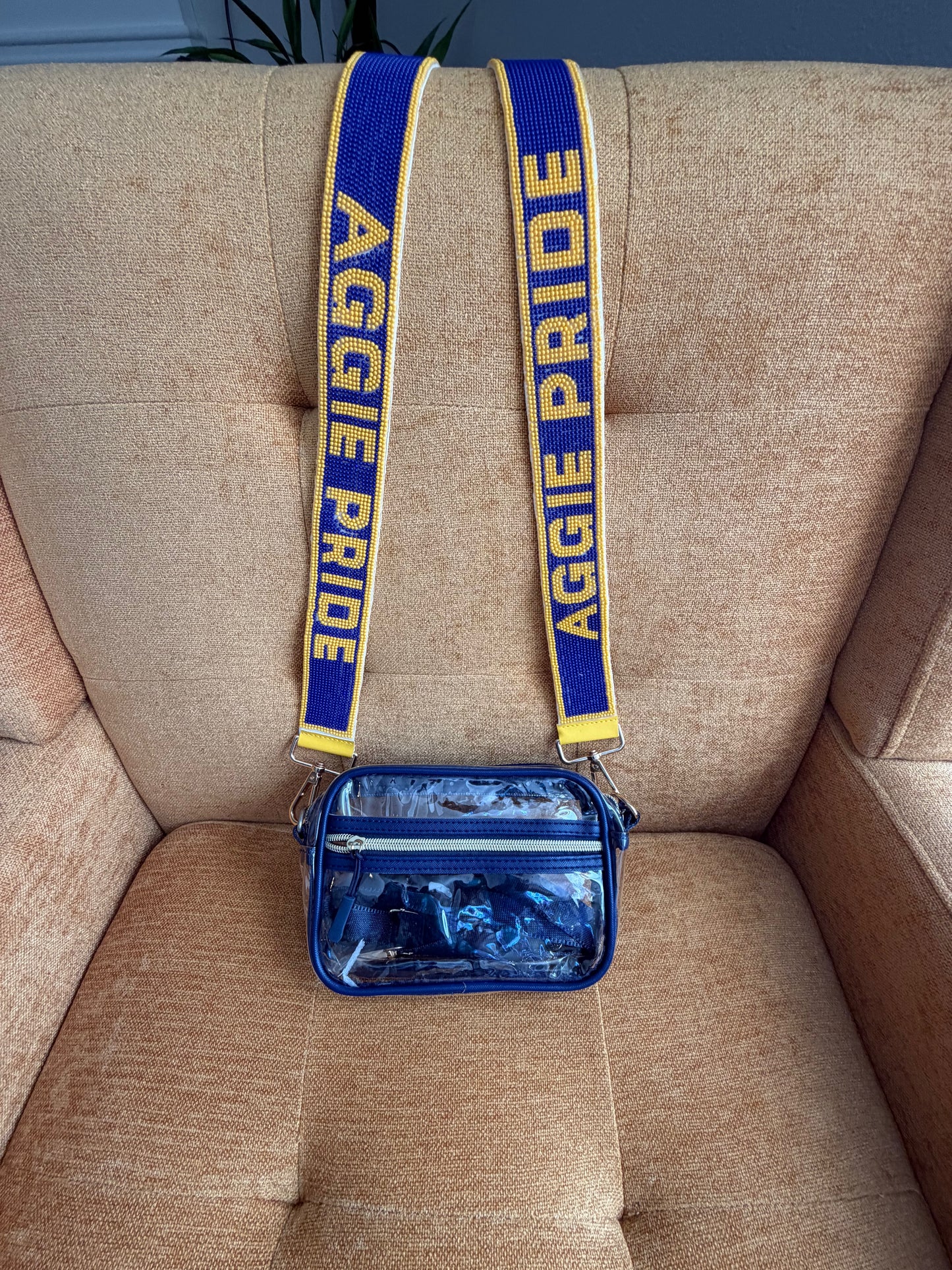 Beaded purse strap and clear bag