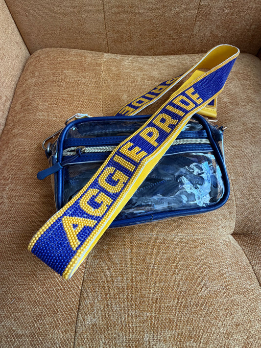 Beaded purse strap and clear bag
