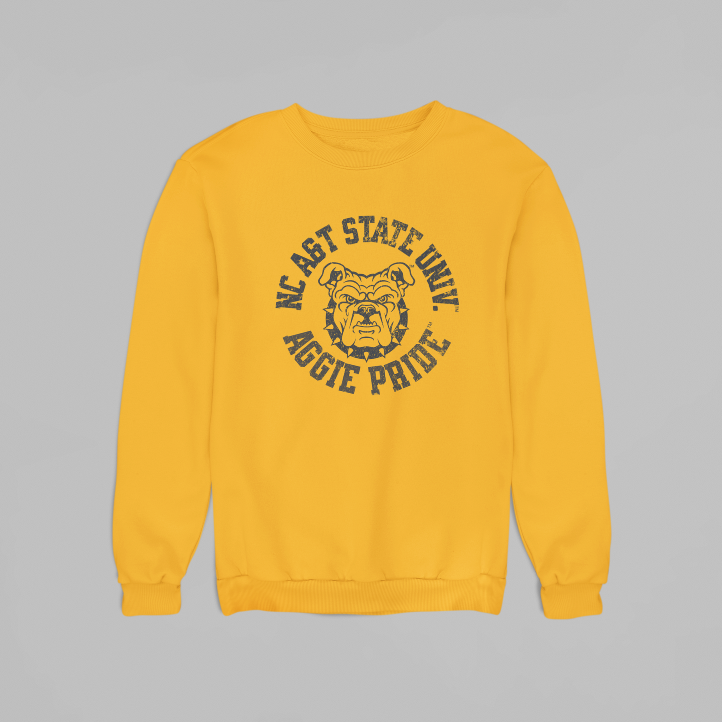 NCAT Distressed Aggie Pride with Aggie Dog Sweatshirt